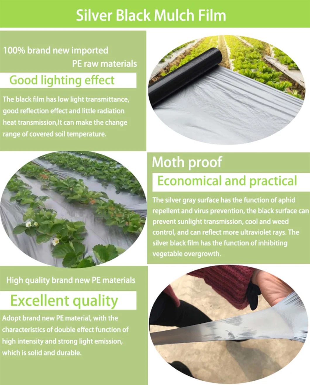 Non Toxic Biodegradable Keep Soil Moisture Mulch Film 100% Virgin Polythene Eggplant Used Plastic Mulch Film for Malaysia Market