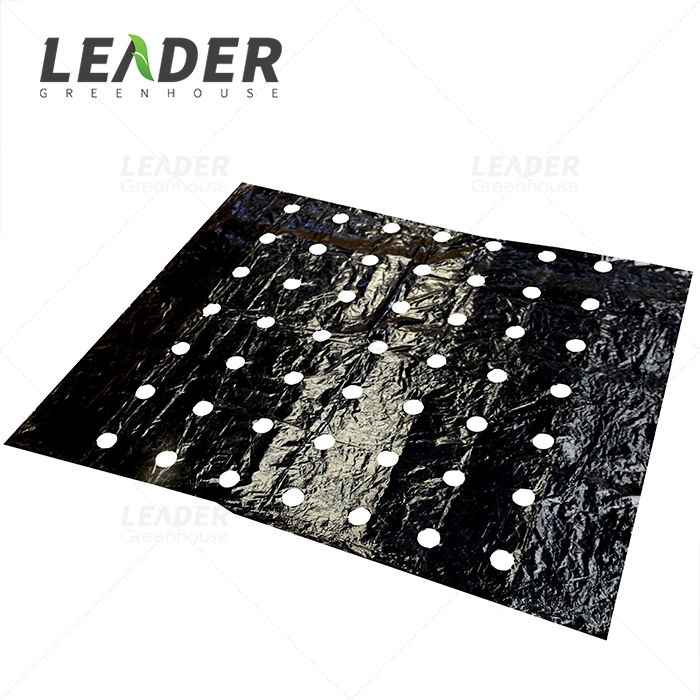 High Quality Biodegradable Agricultural Black Plastic Mulch