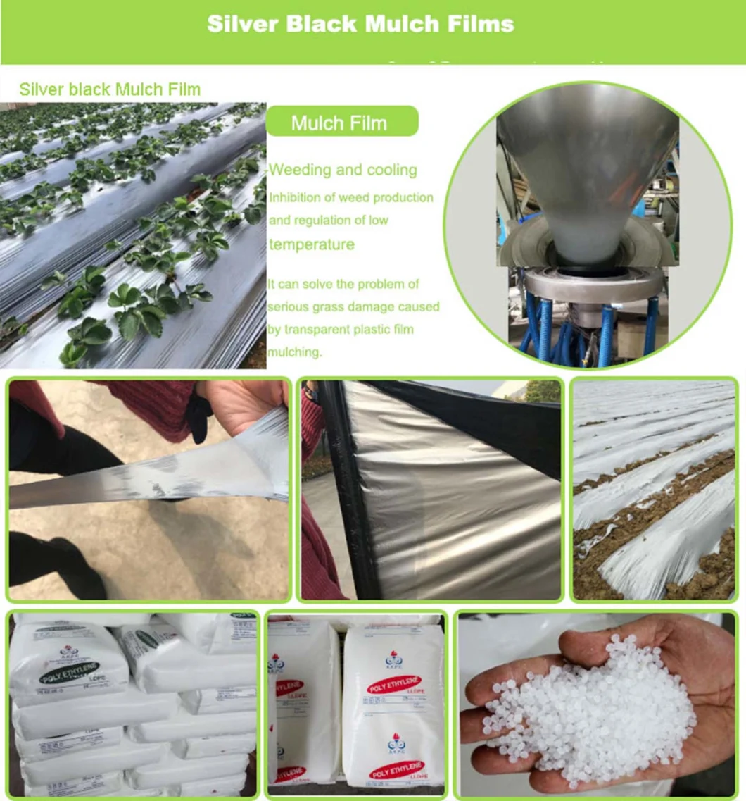 Non Toxic Biodegradable Keep Soil Moisture Mulch Film 100% Virgin Polythene Eggplant Used Plastic Mulch Film for Malaysia Market
