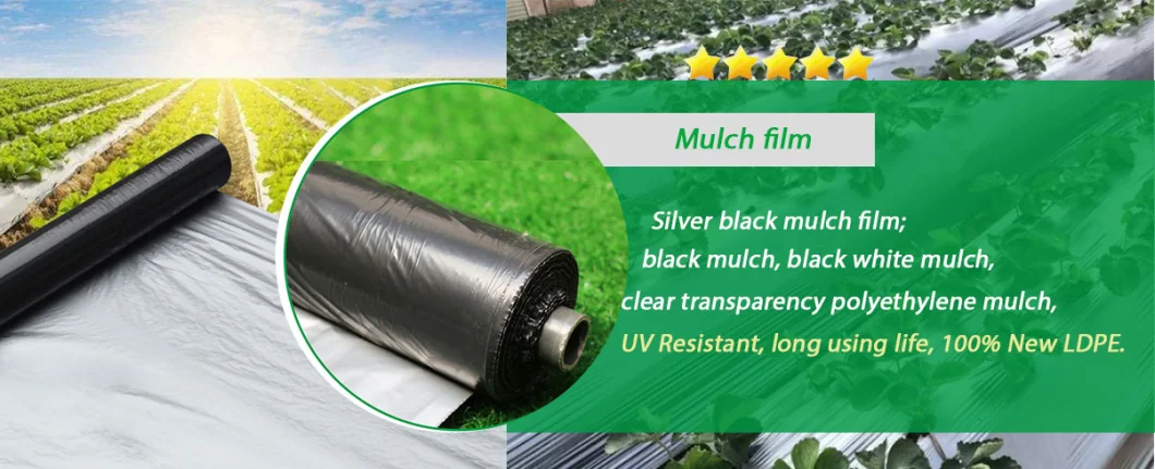 Customized Agricultural Black and Silver Plastic Mulching Film /Biodegradable Plastic Mulch